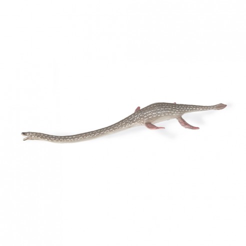 ELASMOSAURUS