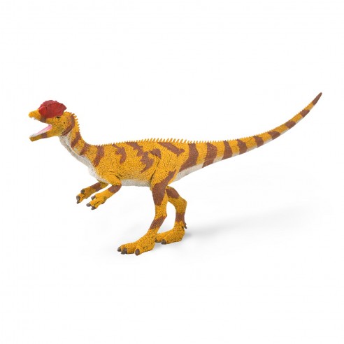 DILOPHOSAURUS - 1:40 SCALE