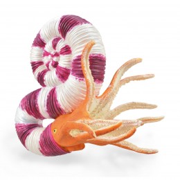 PRAVITOCERAS - L -  88927 -...