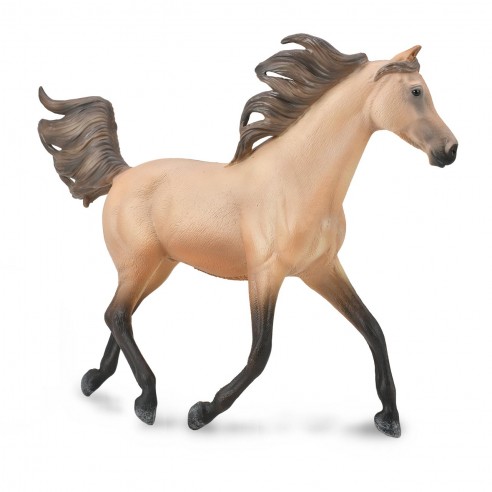 HALF ARABIAN STALLION DUNSKIN -...