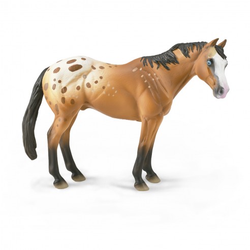 APPALOOSA SEMENTAL CASTAÑO CLARO - XL...