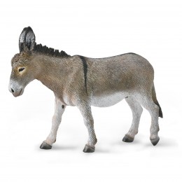 DONKEY