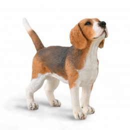 PERRO BEAGLE- M -  88935 -...