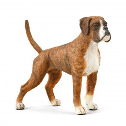 PERRO BOXER - L - 88936 -...