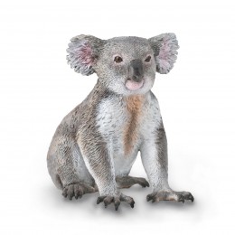 KOALA