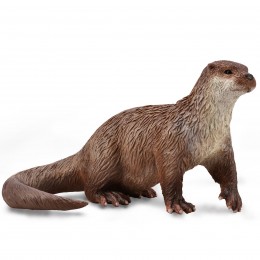 COMMON OTTER