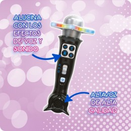 KARAOKE MICROPHONE... 2