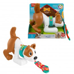 PUPPY Crawls and Plays with...