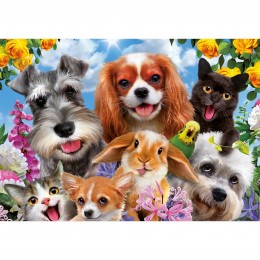 PUZZLE 200 SELFIE OF PETS... 2